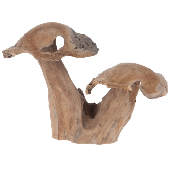 Pilz aus Teak-Holz